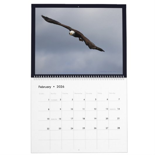 Adelaars in Alaska II Kalender (Feb 2026)