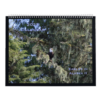 Adelaars in Alaska II Kalender