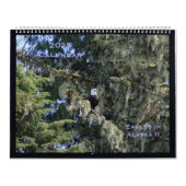 Adelaars in Alaska II Kalender (Hoes)