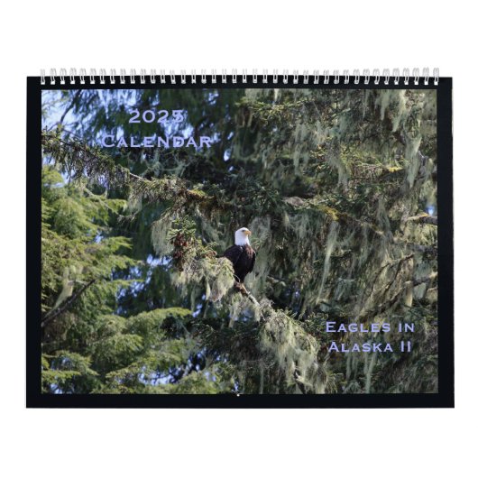 Adelaars in Alaska II Kalender (Hoes)