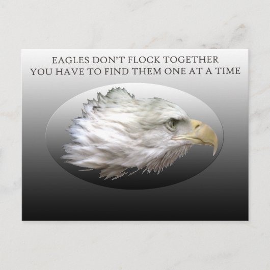 Adelaars komen niet samen in Briefkaart (Voorkant)