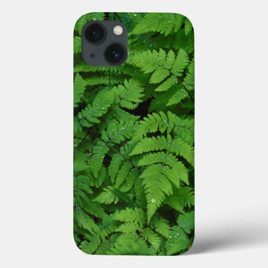Adelaarsvaren met regendruppels, Washington State Case-Mate iPhone Case (Achterkant)