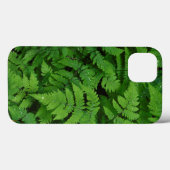 Adelaarsvaren met regendruppels, Washington State Case-Mate iPhone Case (Achterkant (horizontaal))