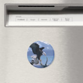 Adelaarsvlieg2 Magneet (Insitu (Vaatwasser))