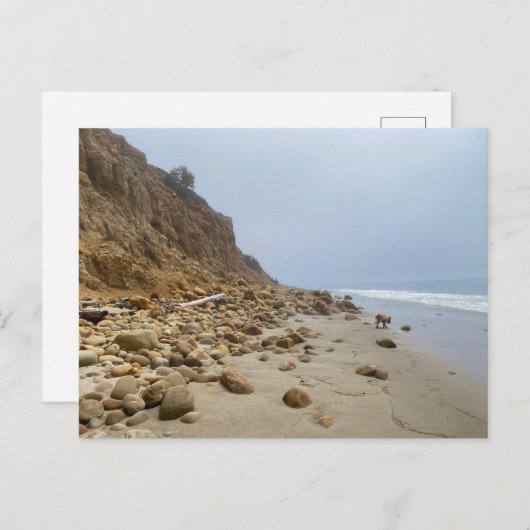 Adelaide bij Loon Point Beach, CA Briefkaart (Voorkant / Achterkant)