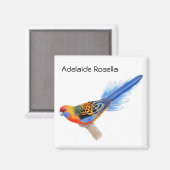 Adelaide Rosella Parrot Magnet (Voorkant / Achterkant)