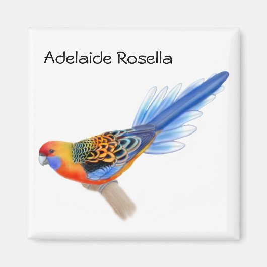 Adelaide Rosella Parrot Magnet (Voorkant)