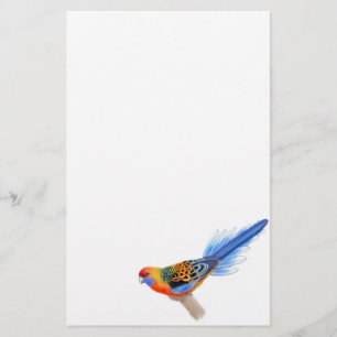 Adelaide Rosella Parrot Stationery Briefpapier