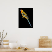 Adelaide Rosella - Platycerus elegans adelaidae Poster (Keuken)