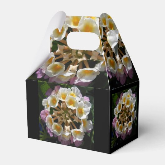 Adelaparre Bedankdoosjes (Achterkant)