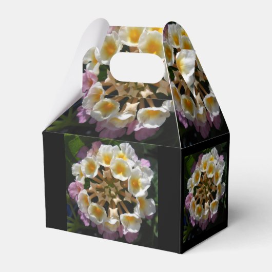 Adelaparre Bedankdoosjes (Voorkant Zijde)