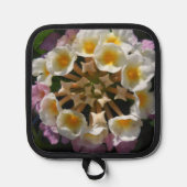 Adelaparre Pannenlap (Voorkant)