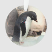 Adelie Penguin - Acrylhoudend Ornament (voorkant)