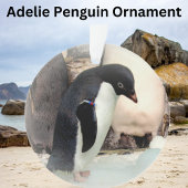 Adelie Penguin - Acrylhoudend Ornament