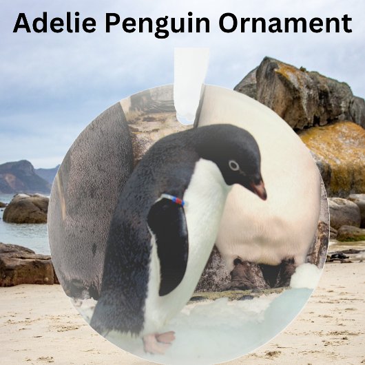 Adelie Penguin - Acrylhoudend Ornament