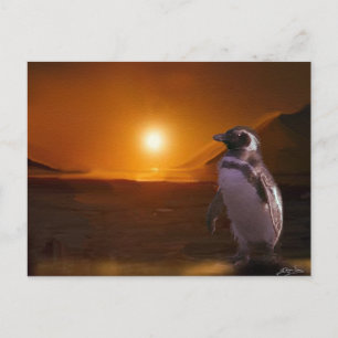Adelie Penguin & Antarctic Sunset Briefkaart