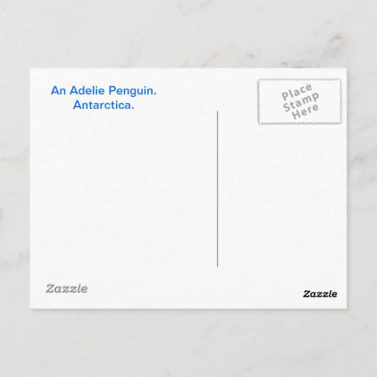 Adelie Penguin Briefkaart (Achterkant)
