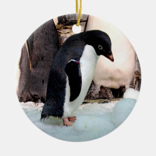Adelie Penguin Keramisch Ornament (Voorkant)