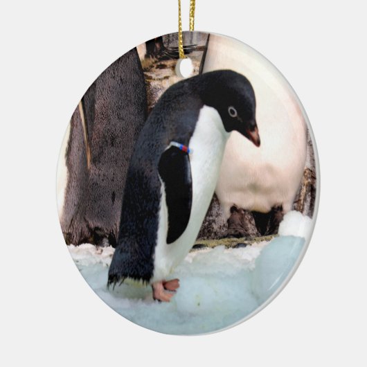 Adelie Penguin Keramisch Ornament (Links)