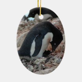 Adelie Penguin-kerstversiering Keramisch Ornament
