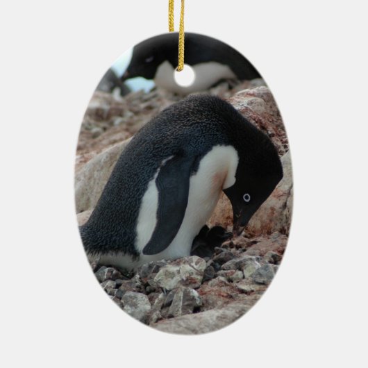 Adelie Penguin-kerstversiering Keramisch Ornament (Achterkant)
