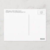 Adelie Penguin Nest Briefkaart (Achterkant)