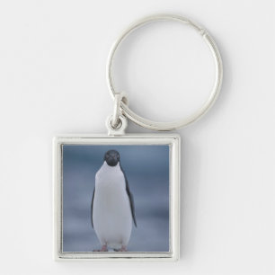 Adelie Penguin over ijs Sleutelhanger