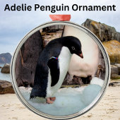 Adelie Penguin Preimium Ornament