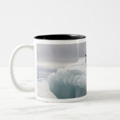 Adelie Penguin Pygoscelis adeliae), Tweekleurige Koffiemok (Links)