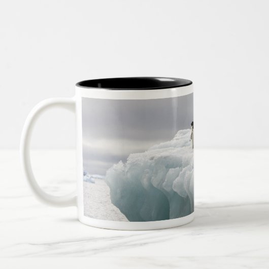 Adelie Penguin Pygoscelis adeliae), Tweekleurige Koffiemok (Links)