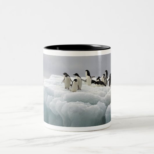 Adelie Penguin Pygoscelis adeliae), Tweekleurige Koffiemok (Center)