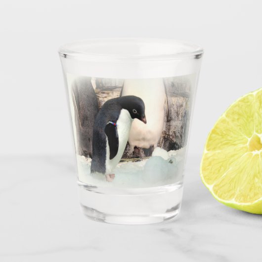 Adélie penguin Shot glass Glas (Voorkant)