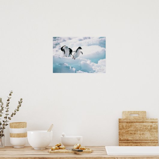 Adelie Penguins | Antarctica Poster (Keuken)