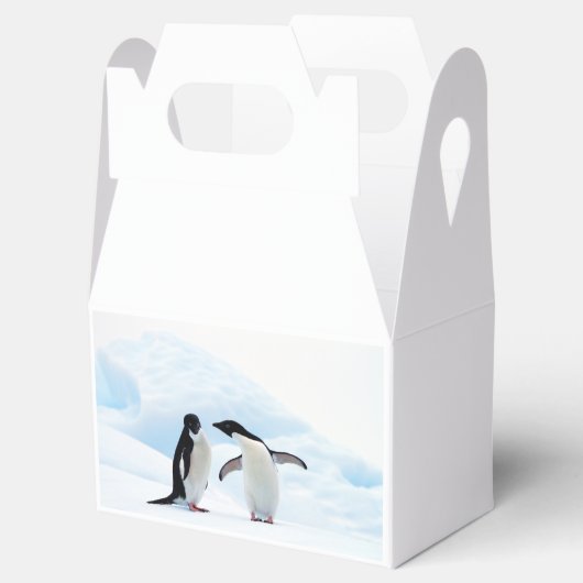 Adelie Penguins Bedankdoosjes (Geopend)