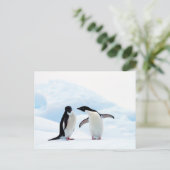 Adelie Penguins Briefkaart (Staand voorkant)