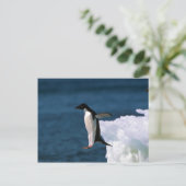 Adelie Penguins die uit een ijsberg komen Briefkaart (Staand voorkant)