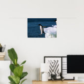 Adelie Penguins die uit een ijsberg komen Poster (Thuiskantoor)