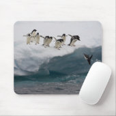 Adelie Penguins duikt in zee Paulette Muismat (Met muis)