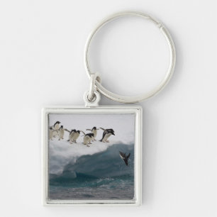 Adelie Penguins duikt in zee Paulette Sleutelhanger