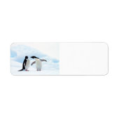 Adelie Penguins Etiket (Voorkant)