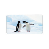 Adelie Penguins Etiket (Voorkant)