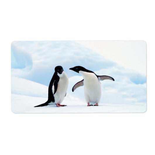 Adelie Penguins Etiket (Voorkant)