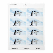 Adelie Penguins Etiket (Full Sheet)