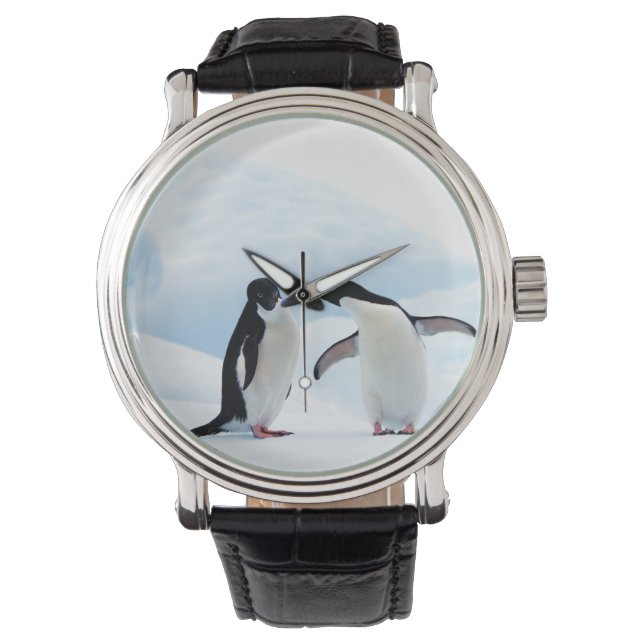 Adelie Penguins Horloge (Voorkant)