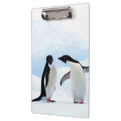 Adelie Penguins Klembord (Links)