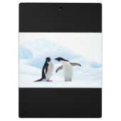 Adelie Penguins Klembord (Achterkant)