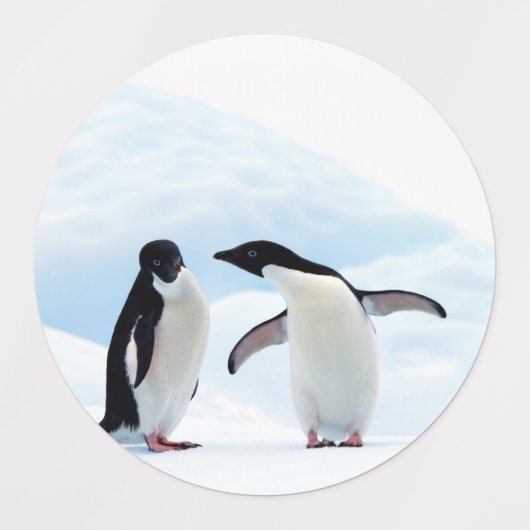 Adelie Penguins Labels (Design 2)