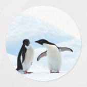 Adelie Penguins Labels (Design 1)