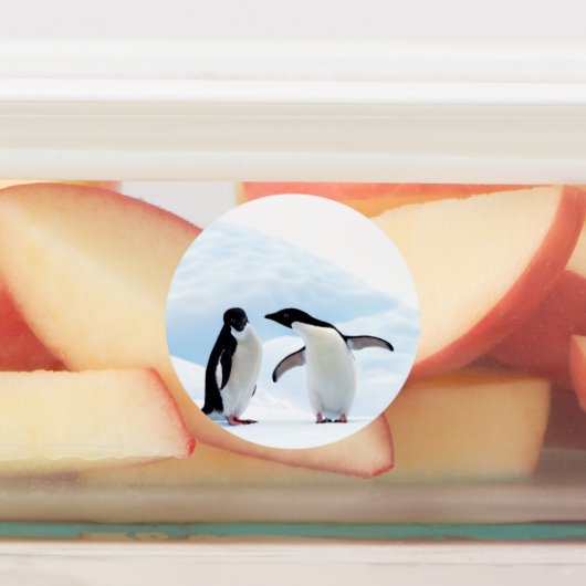 Adelie Penguins Labels (Aangebracht)