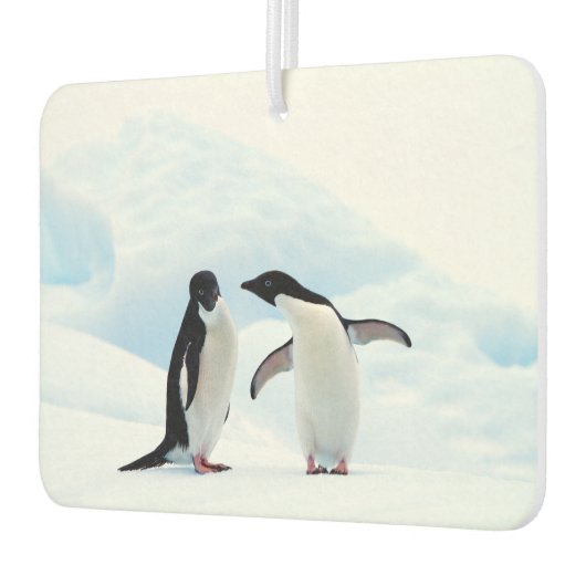 Adelie Penguins Luchtverfrisser (Links)
